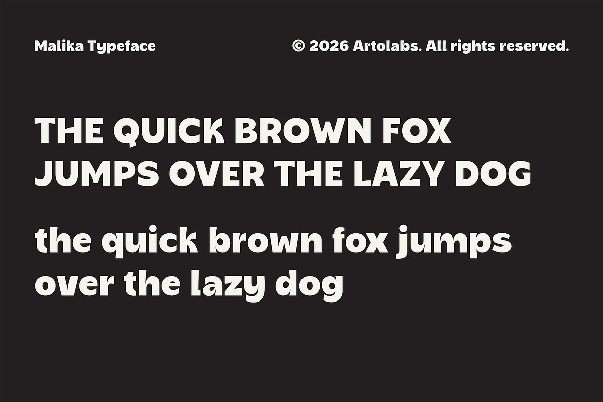 Malika | Warm & Bold Sans Serif Font, a Sans Serif Font by Artolabs (Photo 4 of 8)