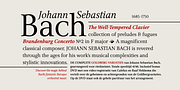 Narration, a Serif Font by PESIC (Thumbnail 5 of 8)