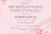 Shaquitta, a Script Font by Integritype Studio (Thumbnail 9 of 15)