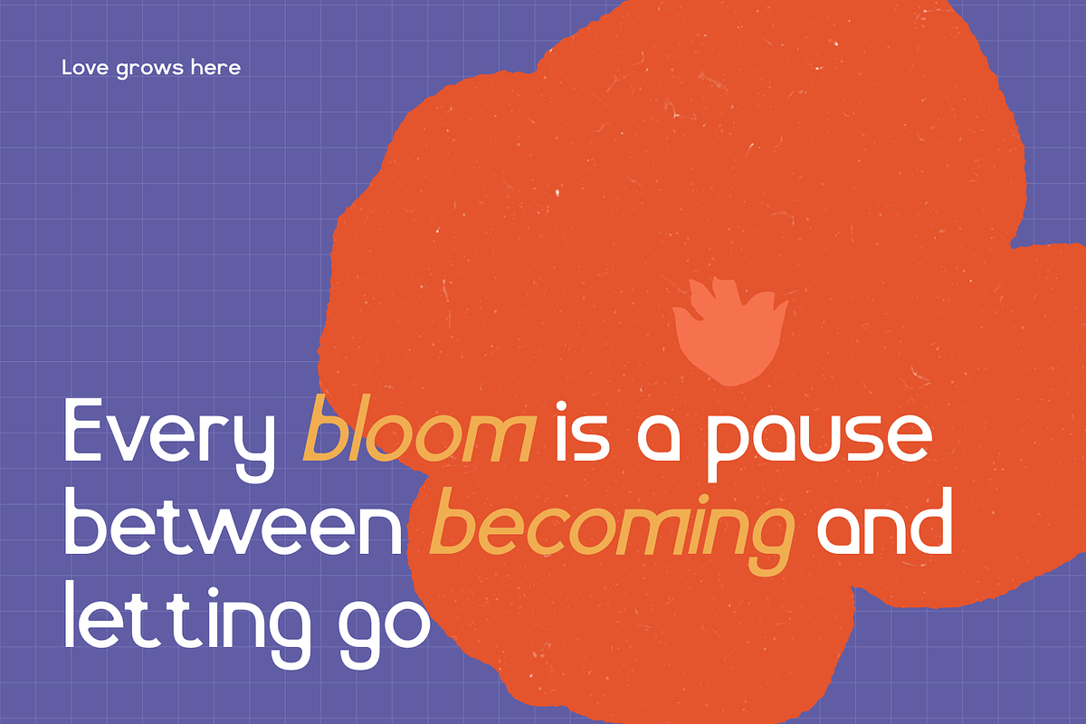 Slangky - Modular Display Sans, a Sans Serif Font by CuratedType Studio (Photo 6 of 10)