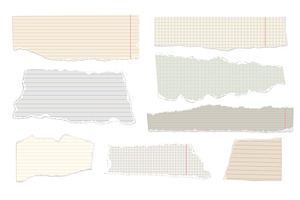Ripped note paper. Scraps of lined, an Object Illustration by Frogella