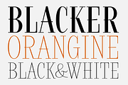 Rostef, a Serif Font by glukfonts (Thumbnail 4 of 6)