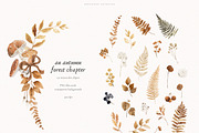 An Autumn Forest Chapter Collection, an Animal Illustration by PeDe Designs (Thumbnail 16 of 29)