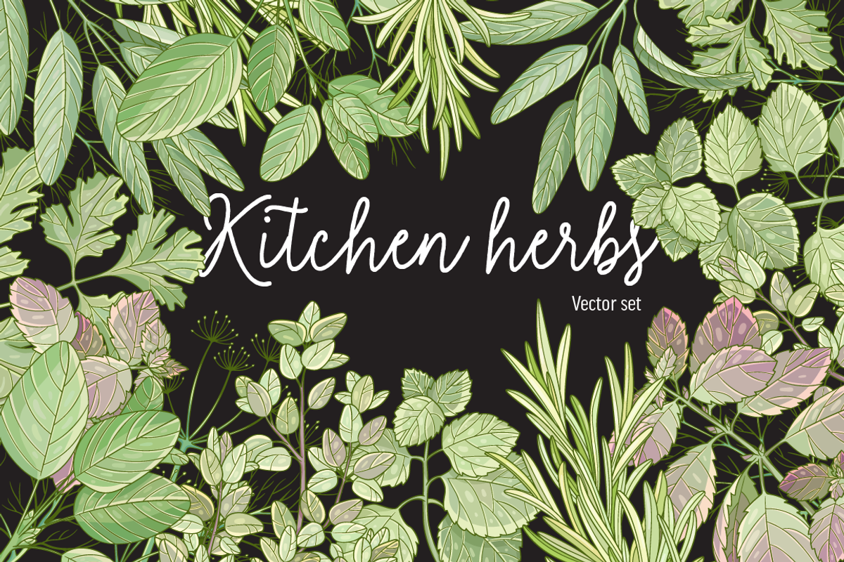 Kitchen herbs set, a Food Illustration by zmeizza (Photo 1 of 7)