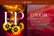 GROMER Elegant Ligature Serif, a Font by Alfinart (Thumbnail 3 of 10)