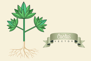 Cactus, Aloe Vera, Vector
