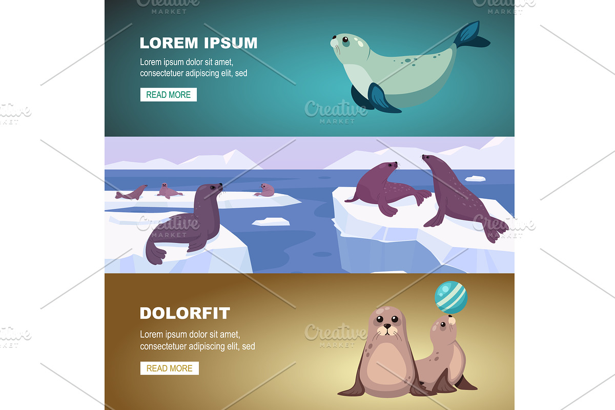 Fur seal banners. ocean water, an Animal Illustration by Multigon