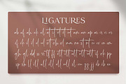 Le Mores Collection, a Serif Font by Mulkan Nazir (Thumbnail 14 of 15)