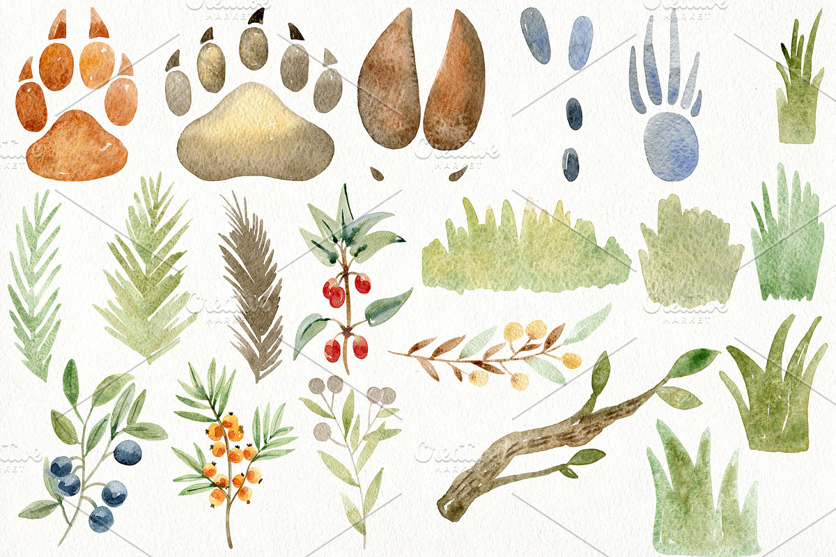 70% off. Bundle. Woodland animals., an Animal Illustration by TaPilipa (Photo 5 of 38)