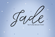 FONT BUNDLE - SHOP BUNDLE, a Script Font by Face Lab (Thumbnail 14 of 18)