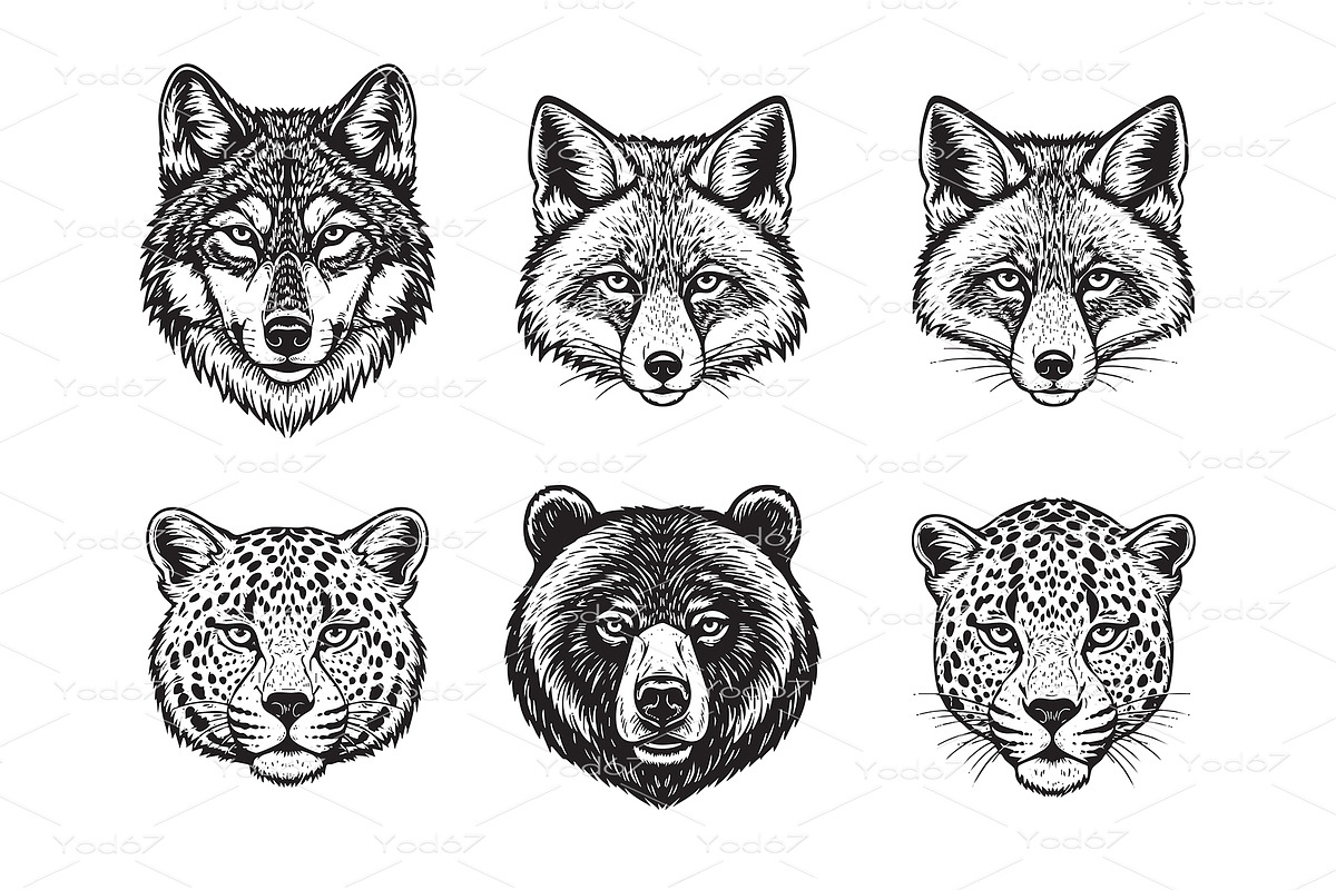Faces wolf, fox, bear, and leopards, an Animal Illustration by yod67