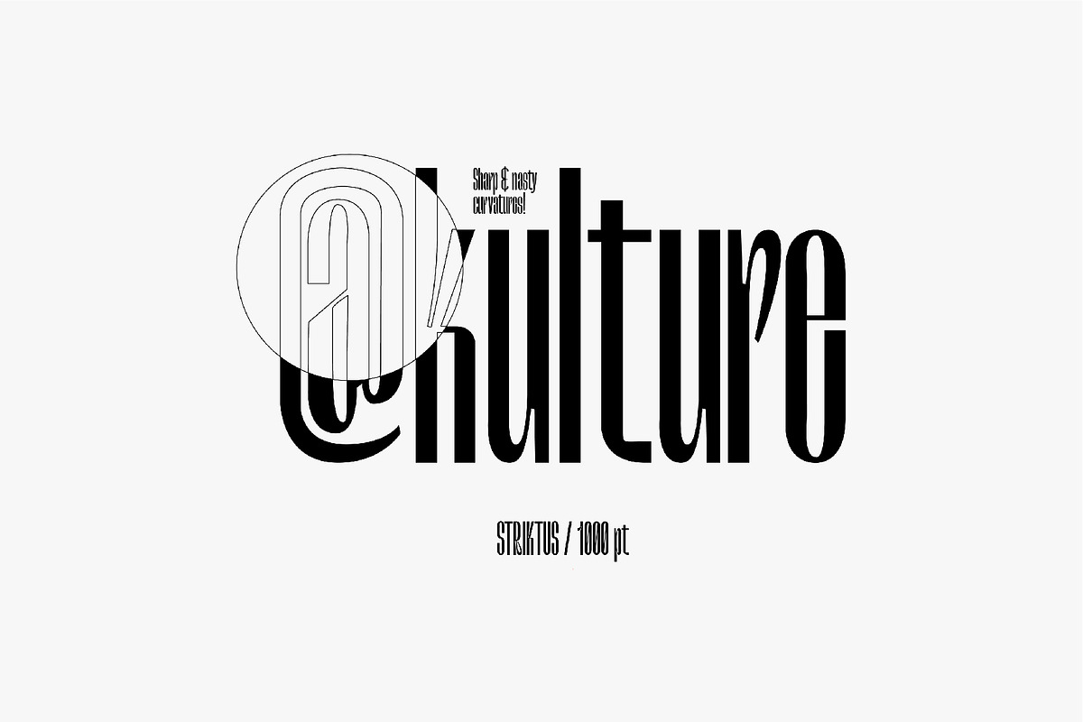Striktus - Narrow Typeface, a Sans Serif Font by Kulturë Type (Photo 7 of 9)