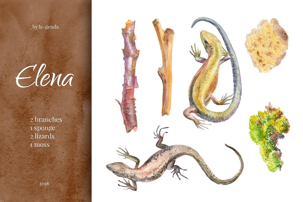 Elena. 26 Watercolor Elements Set, an Illustration by morskoe (Photo 3 of 3)