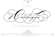 Darleyna, a Script Font by JamalCreativeStudio (Thumbnail 1 of 12)