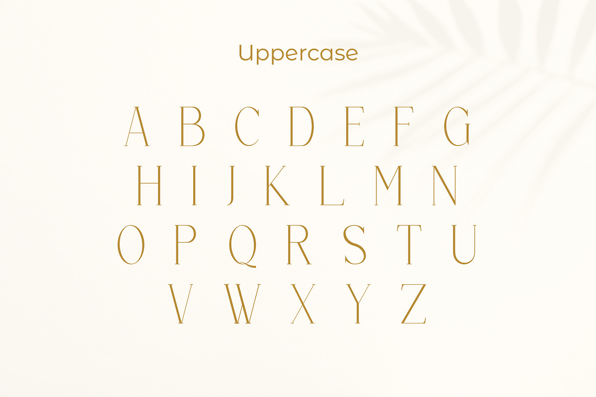 Gremora, a Serif Font by Rishsketch (Photo 8 of 13)
