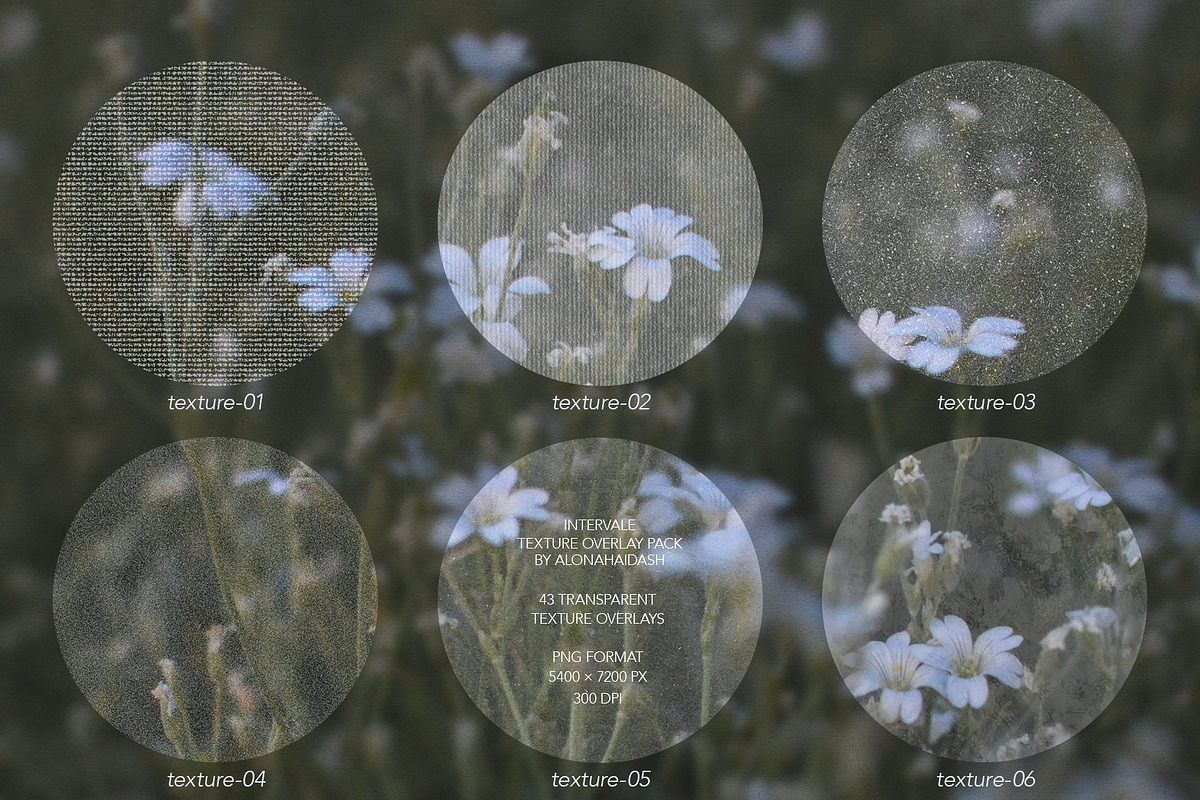 Intervale - Texture Overlay Pack, a Texture Graphic by alonahaidash
