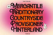 TAN-THISTLE-A DISPLAY FONT, a Slab Serif Font by TanType (Thumbnail 3 of 10)