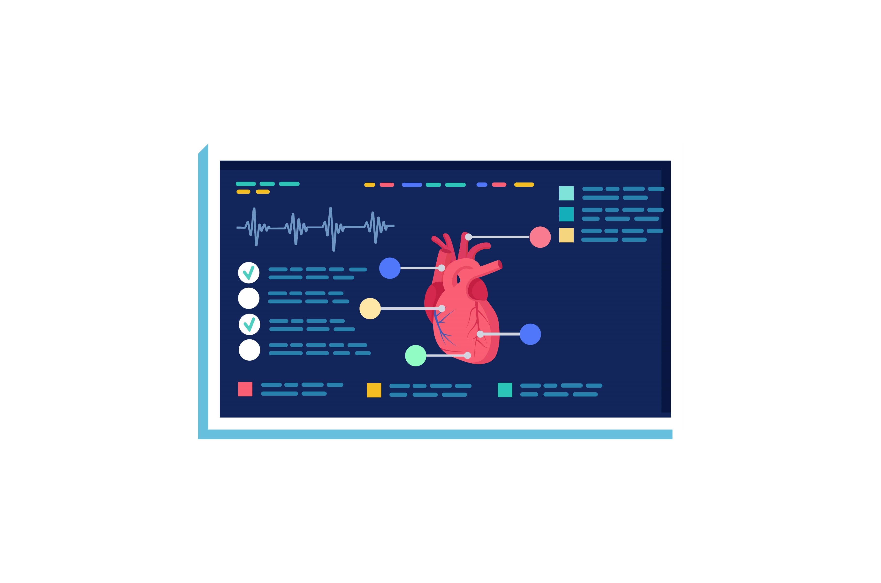 Human heart anatomy diagram with, an Illustration by KitVector