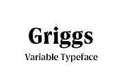 Griggs Variable Typeface, a Serif Font by Seniors (Thumbnail 1 of 10)