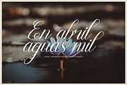 Mewskia | Modern Calligraphy Font, a Script Font by gracetype_studio (Thumbnail 6 of 14)