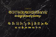 Holgiona, a Handwritten Font by Gatype (Thumbnail 14 of 15)