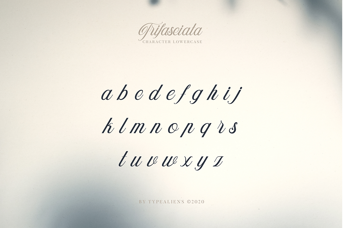 Trifasciata, a Script Font by ilhamtaro (Photo 8 of 11)
