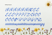 Ranoa Scaloth | Handwritten Script, a Script Font by gracetype_studio (Thumbnail 10 of 11)