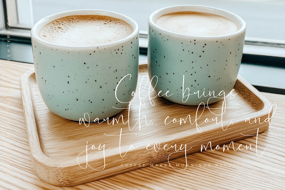 Blooming Stockholm Modern Script, a Script Font by stylishtype.co (Photo 14 of 20)