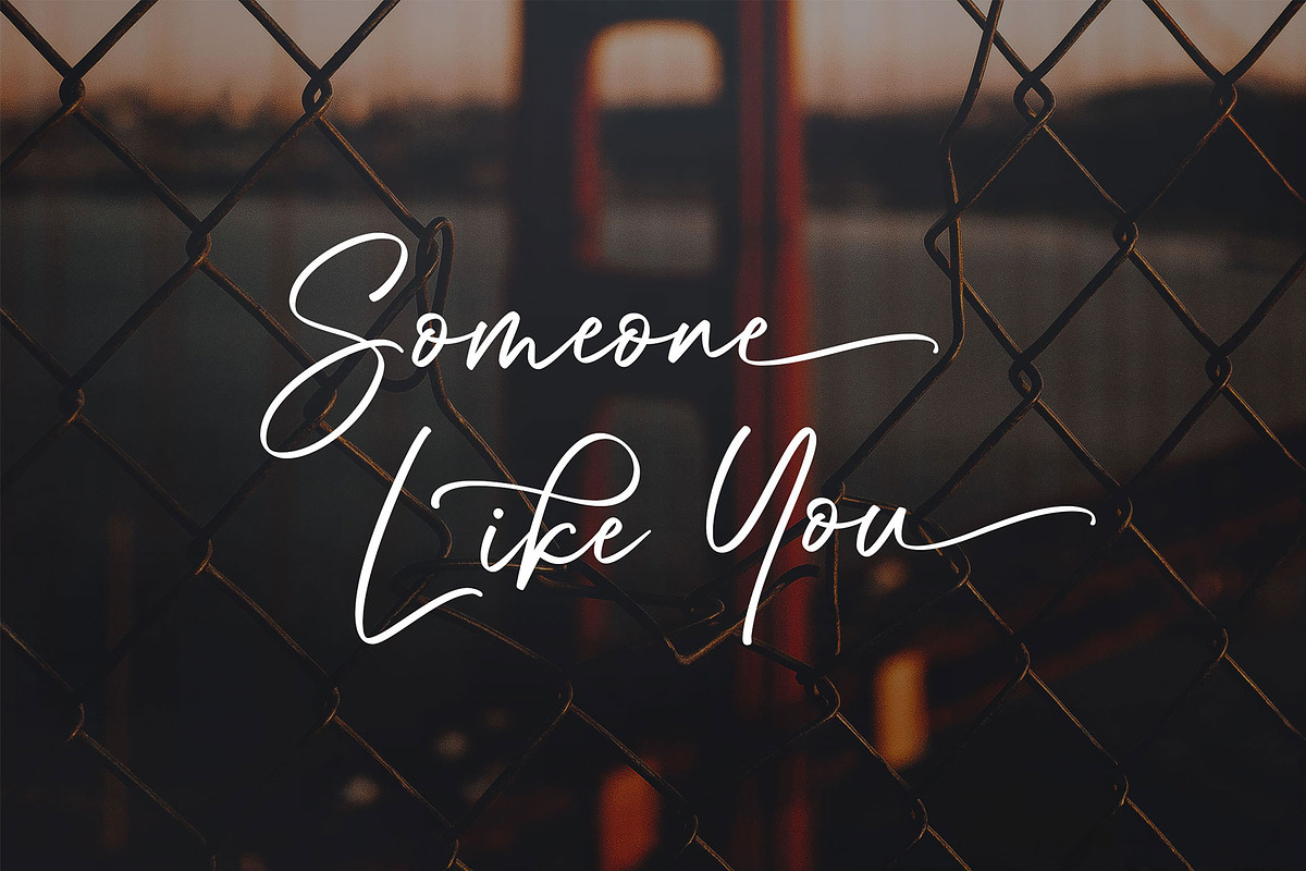 Through Script, a Script Font by moriztype (Photo 6 of 11)