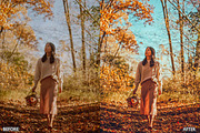 FALL PRESETS for Autumn Photos, a Preset Add-On by AAA Presets (Thumbnail 17 of 22)