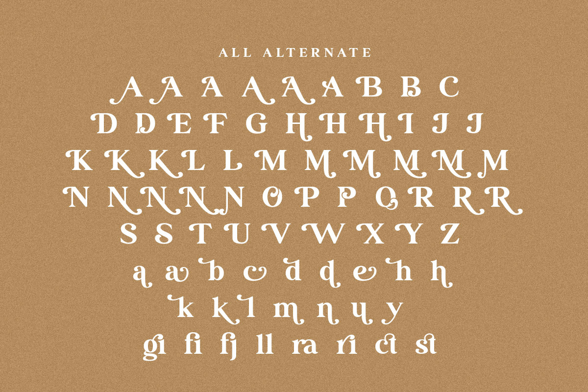 Ransta Modern Serif Font, a Serif Font by Multype Studio (Photo 12 of 12)