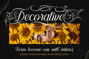 Billotea Typeface, a Script Font by alit design (Thumbnail 11 of 20)