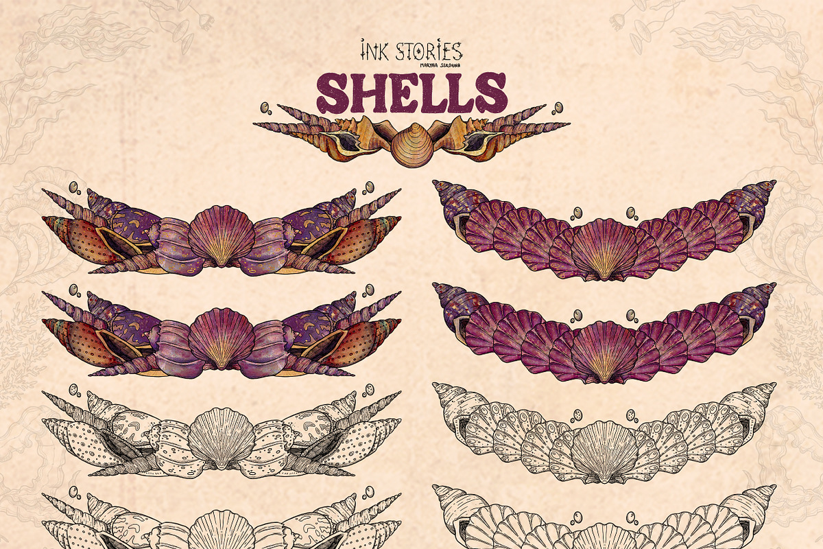 Shells, an Animal Illustration by Ink Stories (Photo 15 of 21)