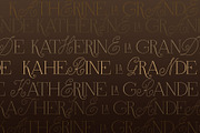Anna Monro Cyrillic Script Serif, a Script Font by IraDvilyuk (Thumbnail 2 of 11)