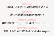 Soleil Font, a Serif Font by Type and Graphics Studio (Thumbnail 2 of 7)