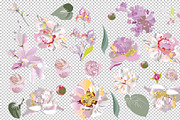 Delicate flowers, a Graphic by Laifalight (Thumbnail 2 of 7)