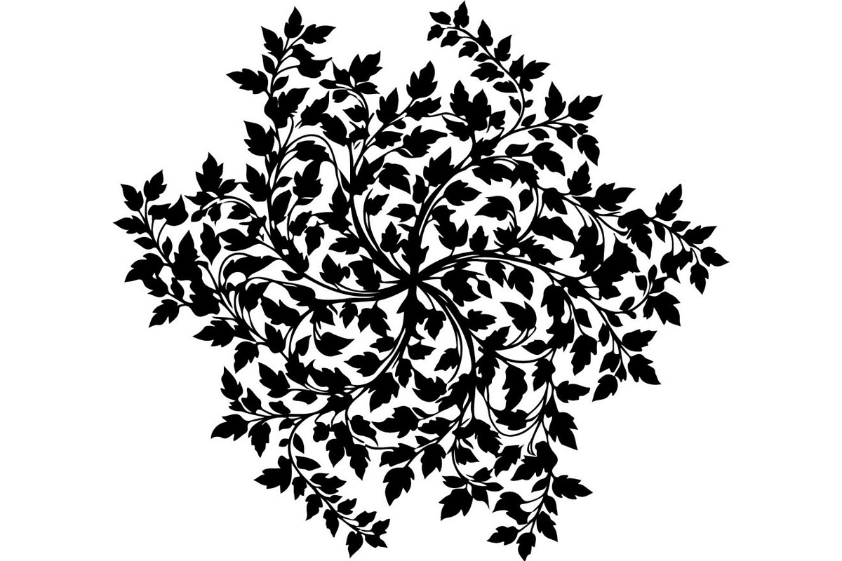 Ornamental Floral Mandala, an Object Graphic by Creativeshirt (Photo 7 of 14)