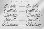 Chaletliness | Modern Script Brush, a Script Font by Madhaline Studio (Thumbnail 12 of 15)