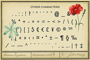 Metrobrew Vintage Typeface, a Font by Jonas Stensgaard (Thumbnail 5 of 11)