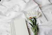 White Peony Bundle + Bonus, an Arts & Entertainment Photo by Light & Grace (Thumbnail 7 of 8)
