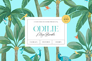 Odilie Illustration Set MEGA BUNDLE, an Illustration by Castlefield Design (Thumbnail 1 of 4)