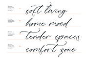 Silky Crystal Elegant Handwritten, a Script Font by Letterena Studios Script (Thumbnail 8 of 10)