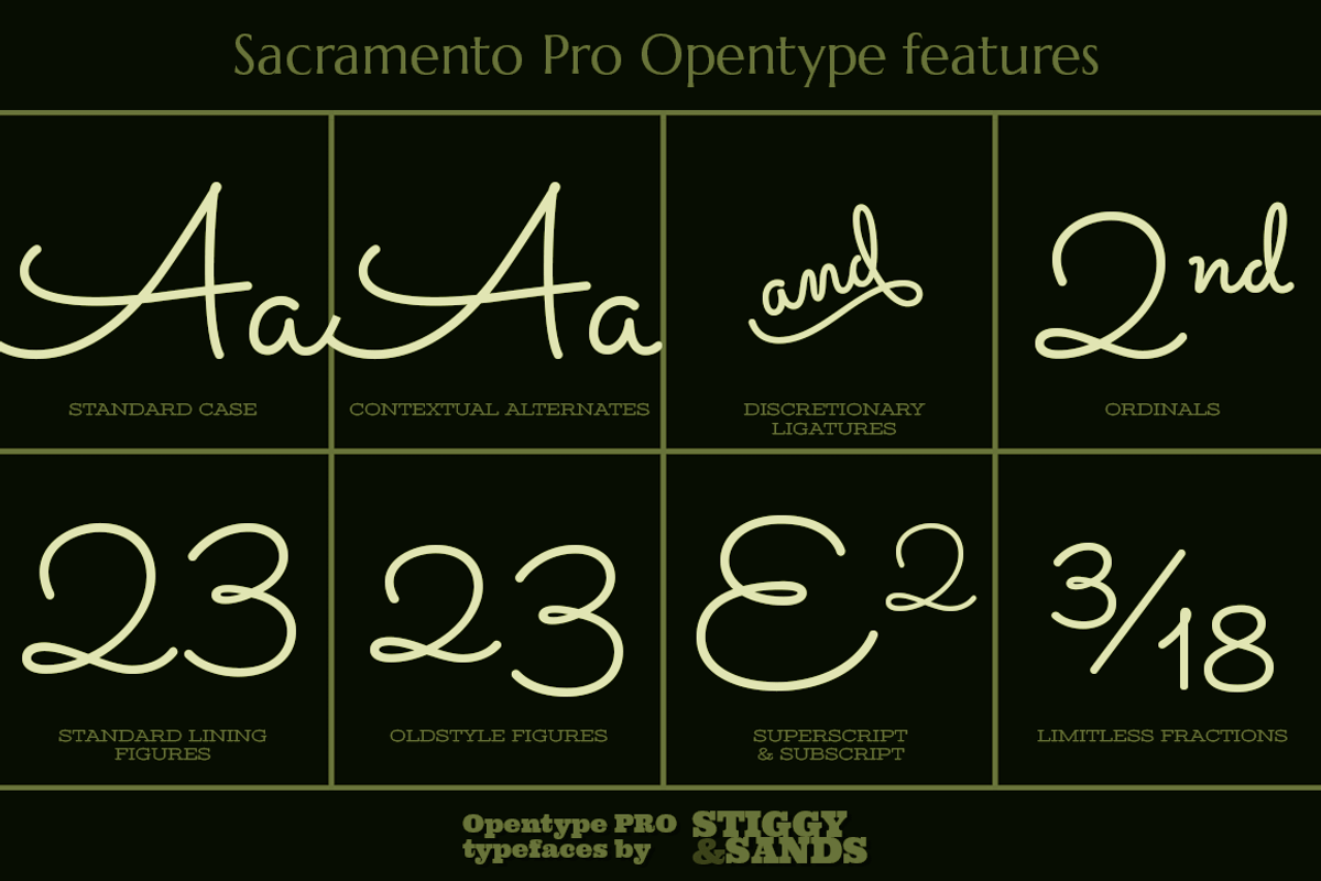 Sacramento Pro preview 4