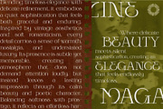 Earthlines - Organic Serif & Sans, a Serif Font by Setara Langit CreativeStd (Thumbnail 8 of 13)