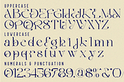 Deliberate Rationality - Modern Font, a Serif Font by 177Studio (Thumbnail 8 of 8)