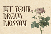 Lamoonze - Serif Display Font, a Serif Font by Randi Irvan | Rvandtype (Thumbnail 4 of 14)