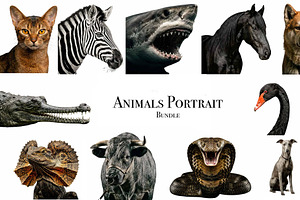 Animals Portrait PNGs, an Animal Photo by VetalStock
