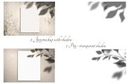 White roses. Watercolor floral set, a Decorative Illustration by Lisima (Thumbnail 14 of 16)