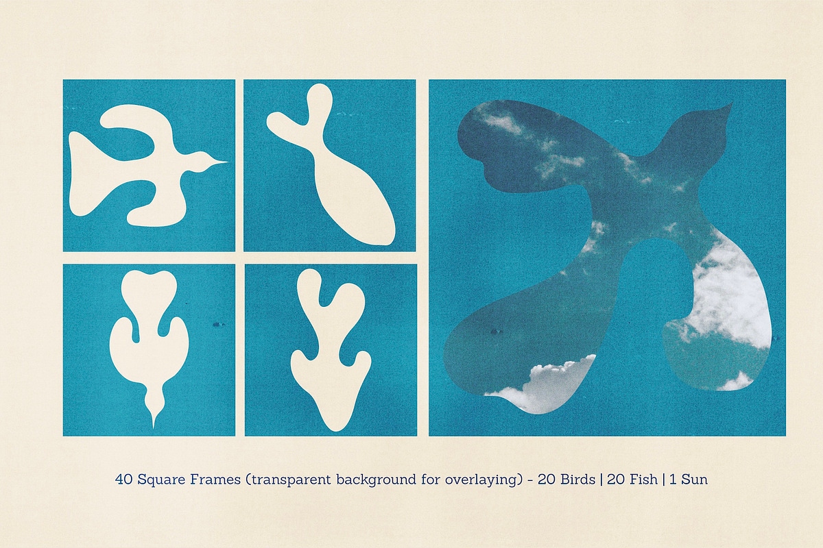 Birds & Fish - Hand Drawn Sea & Sky, a Decorative Illustration by Madeline ODonoghue Design (Photo 5 of 9)