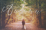 Serenity & Olivia Calligraphy Font, a Script Font by Fine Art Design Studio (Thumbnail 14 of 19)